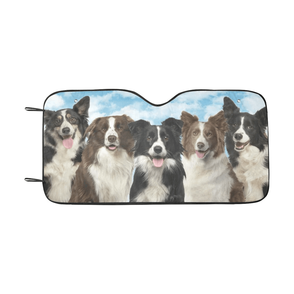 Custom Car Sunshade