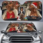 Custom Car Sunshade
