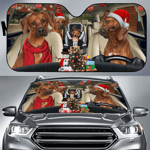 Custom Car Sunshade