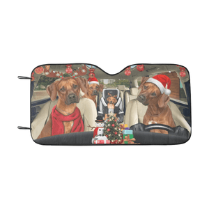 Custom Car Sunshade