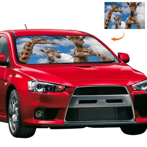 Custom Car Sunshade