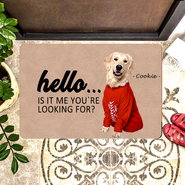 Personalized Dog Doormat Custom Doormat looking for