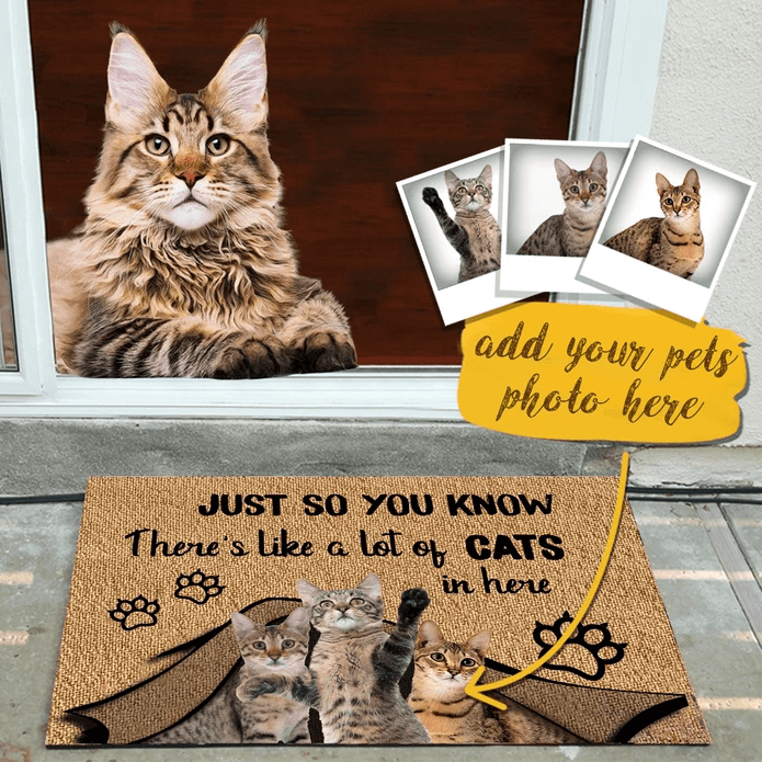 custom cat doormat