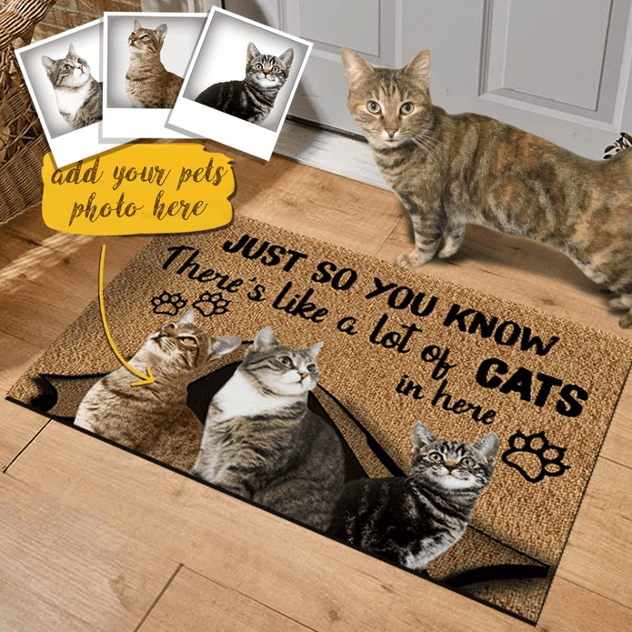 custom cat doormat