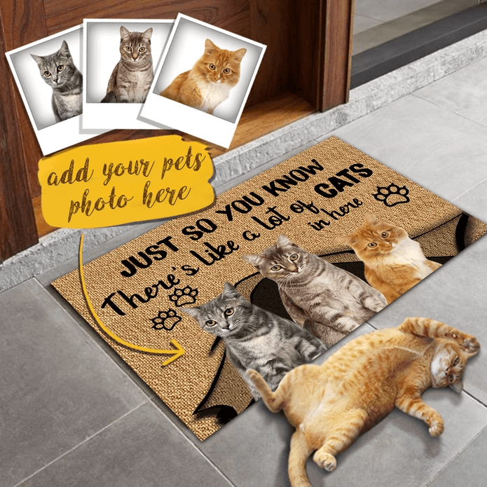 Just So You Know Custom Doormat Dog Doormat Personalized Doormat