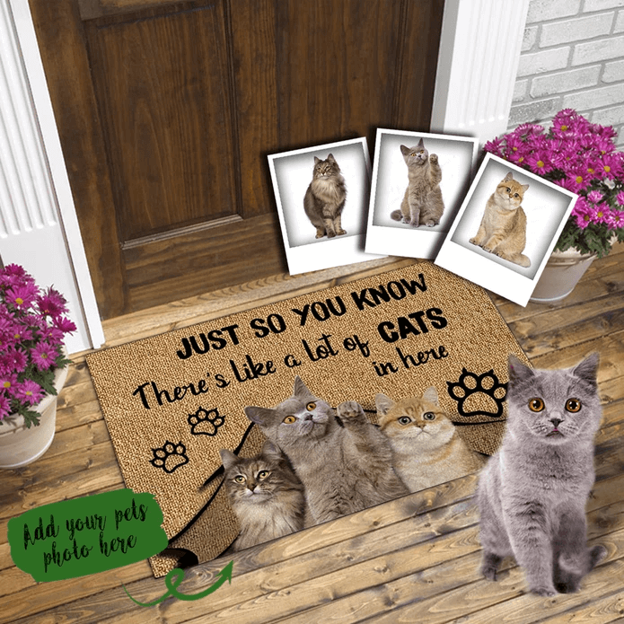 Just So You Know Custom Doormat Dog Doormat Personalized Doormat