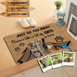 custom cat doormat