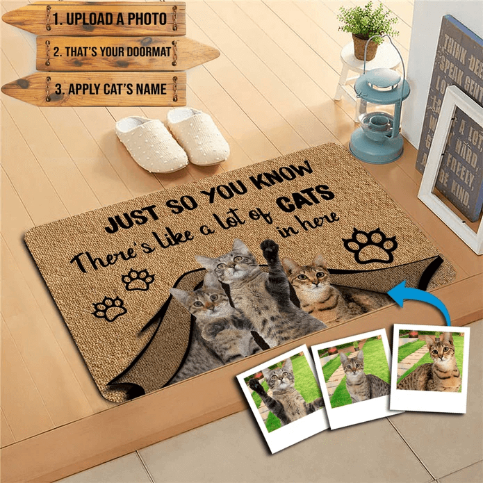 custom cat doormat